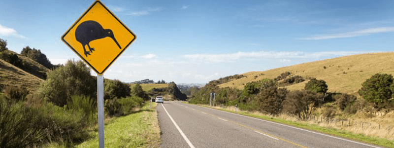 New Zealand Casinos